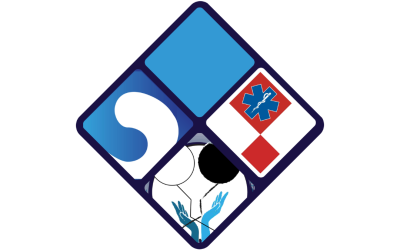 Započeo projekt „Slavica 2.0“